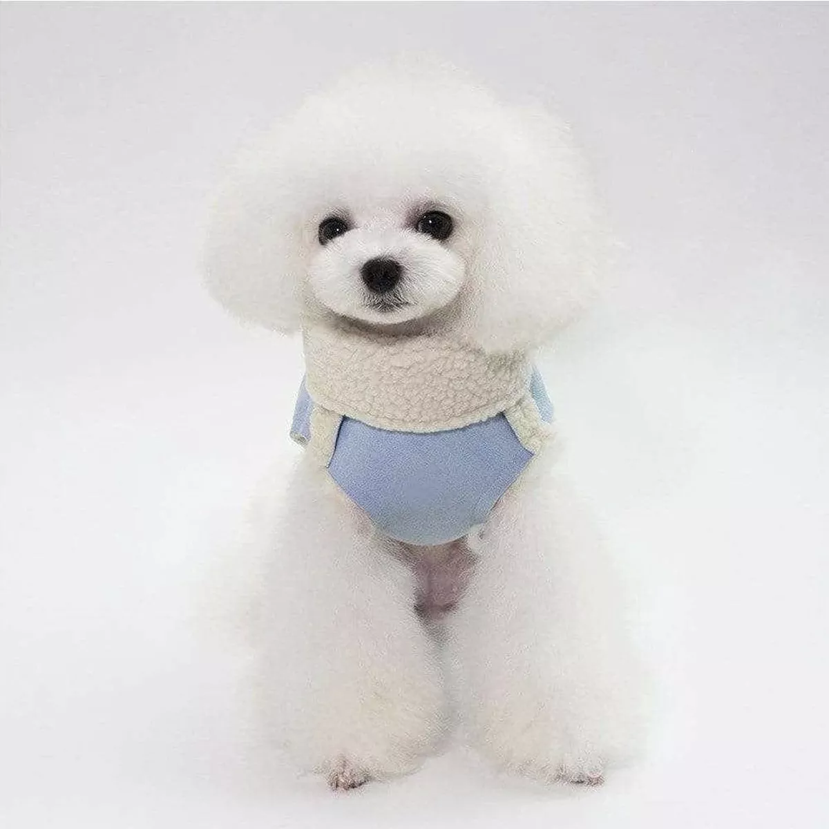 dog clothes blue S YP-201807047