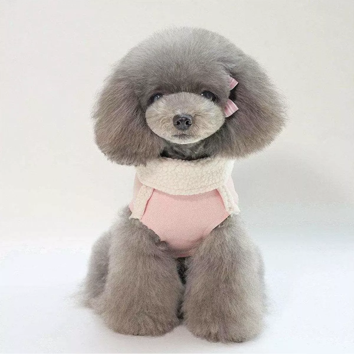 dog clothes Pink S YP-201807046