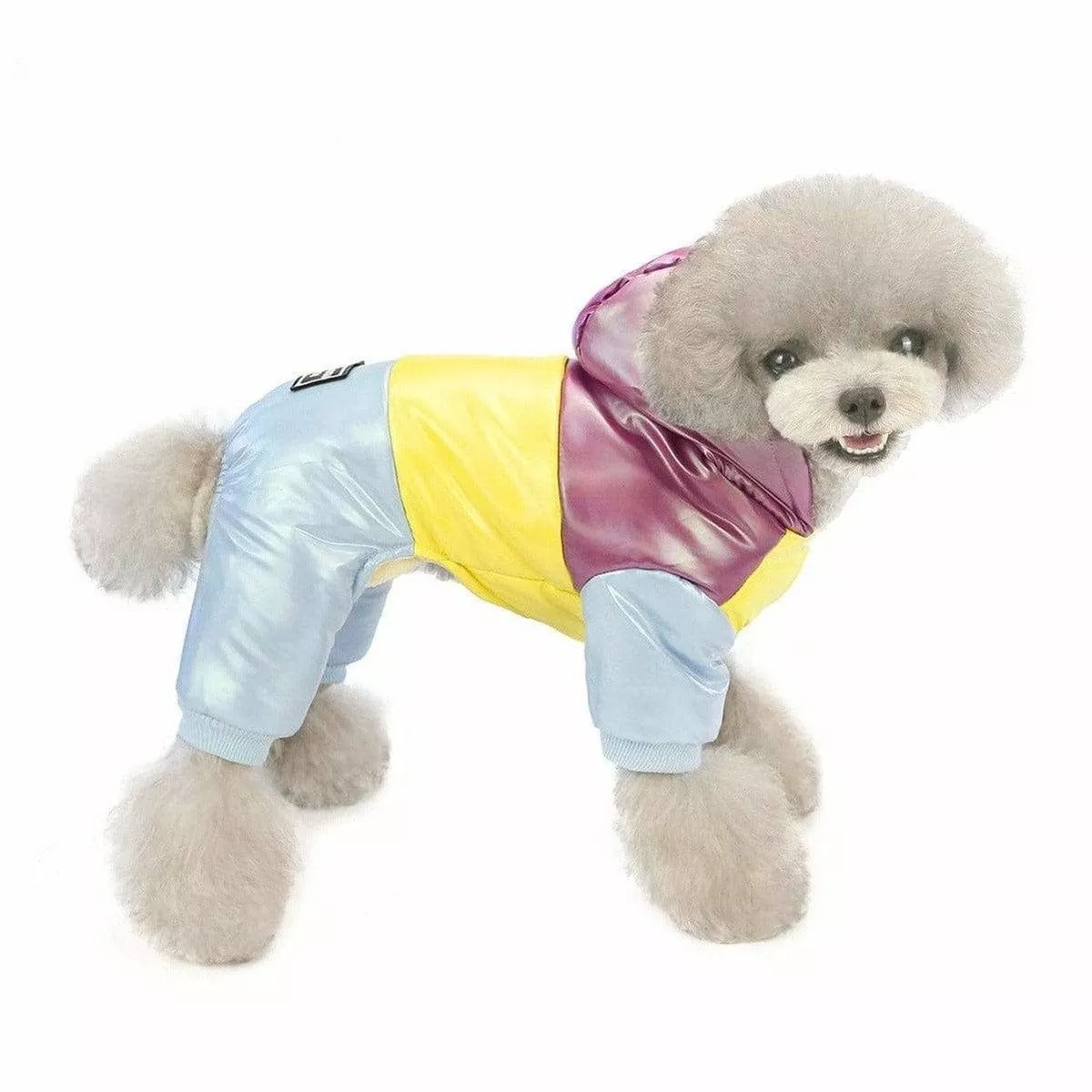 dog clothes Purple M AWYP-6
