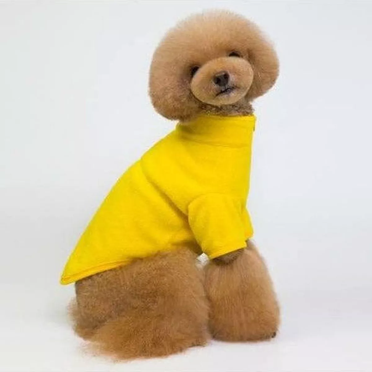 dog clothes Yellow M KLN-201876