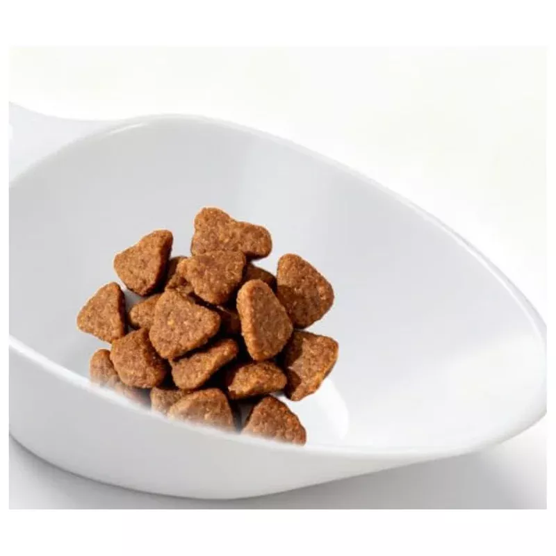 Dog Food Scoop