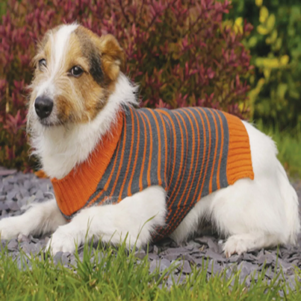 DOG SWEATER STRIPE 46CM