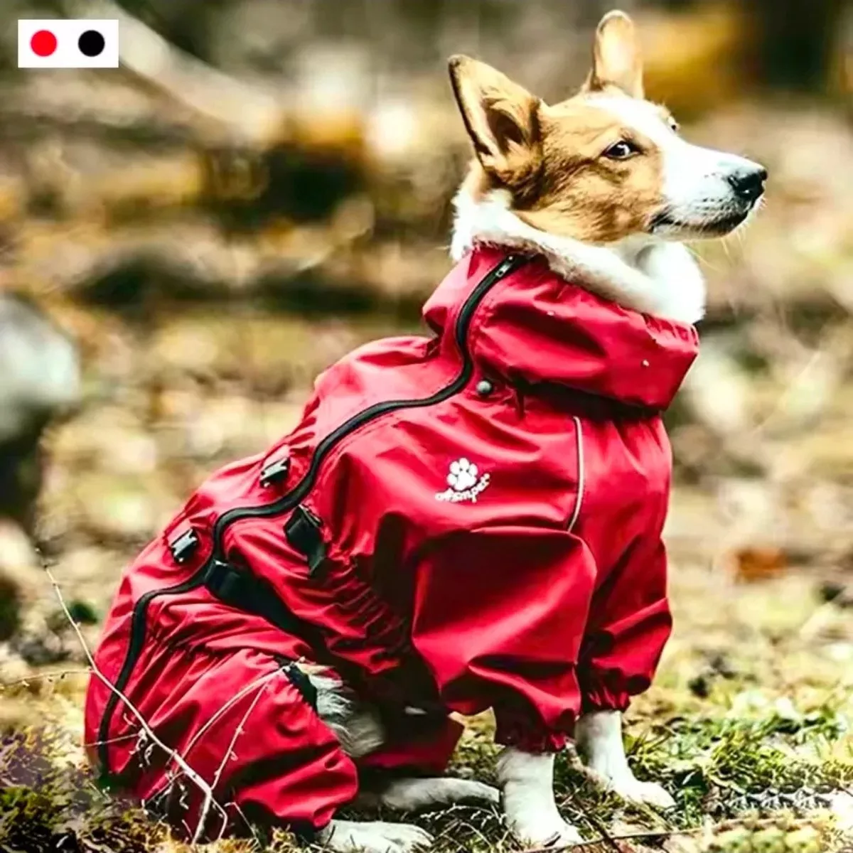Dog Waterproof Jump Suit