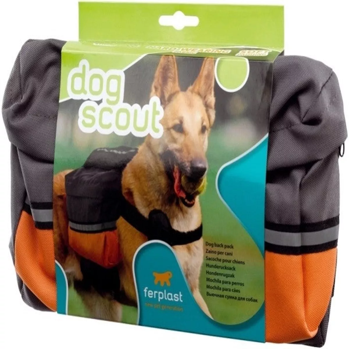 DOGSCOUT