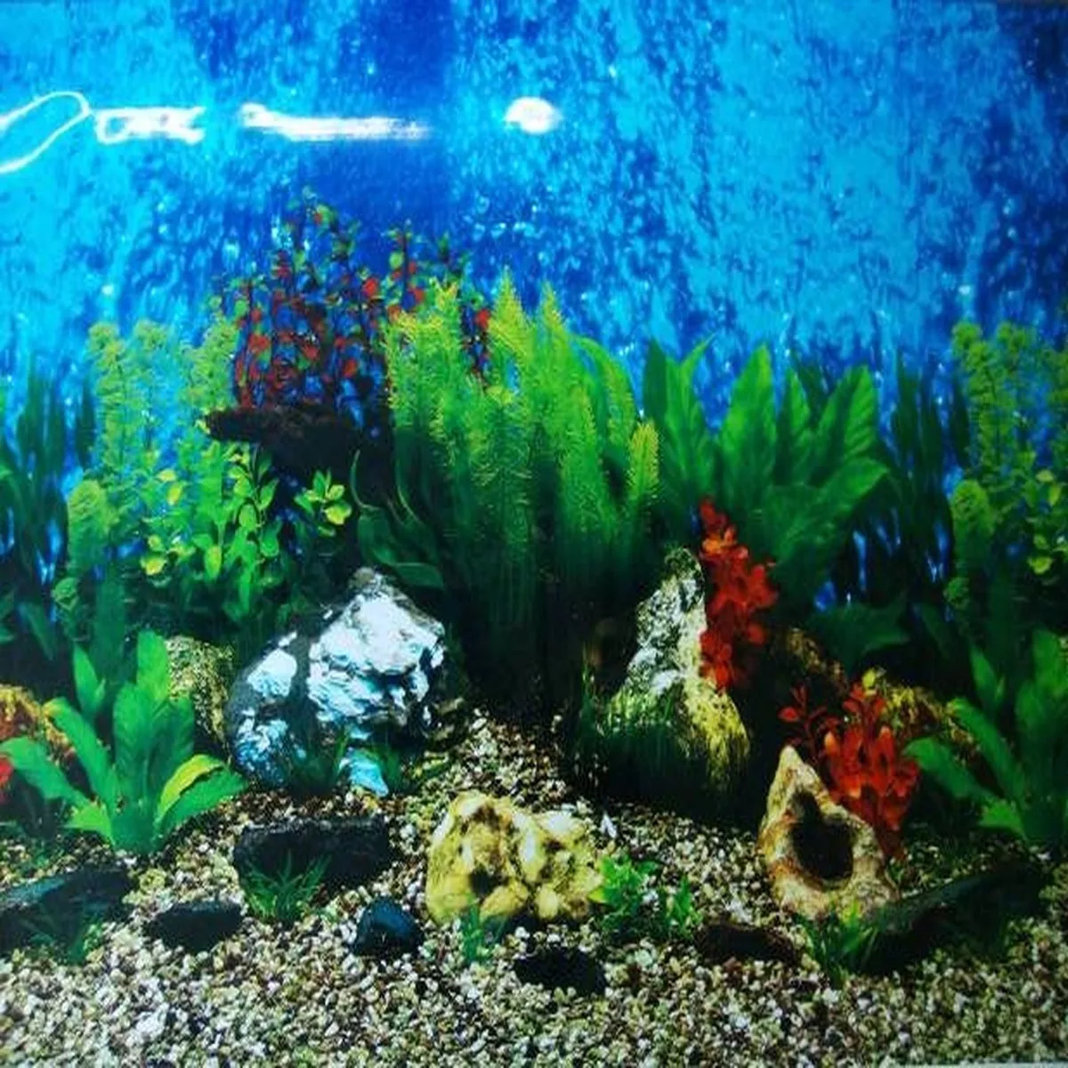 DOUBLE SIDED AQUARIUM BACKGROUND