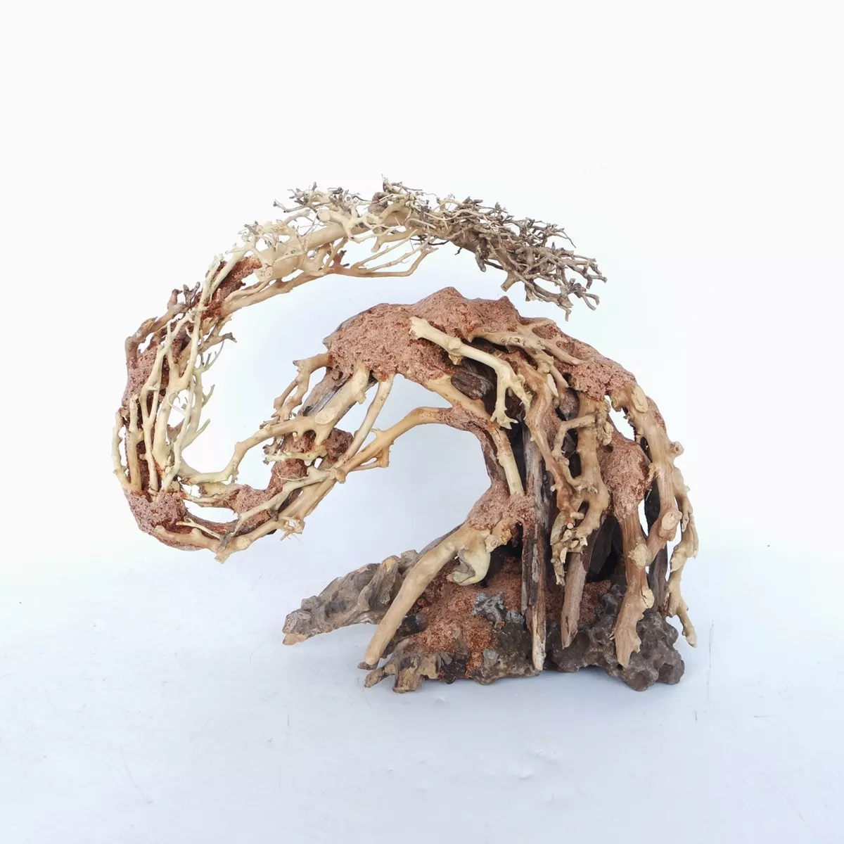 Dragon-like Wood Tree Small, 22x15x10 cm / pc