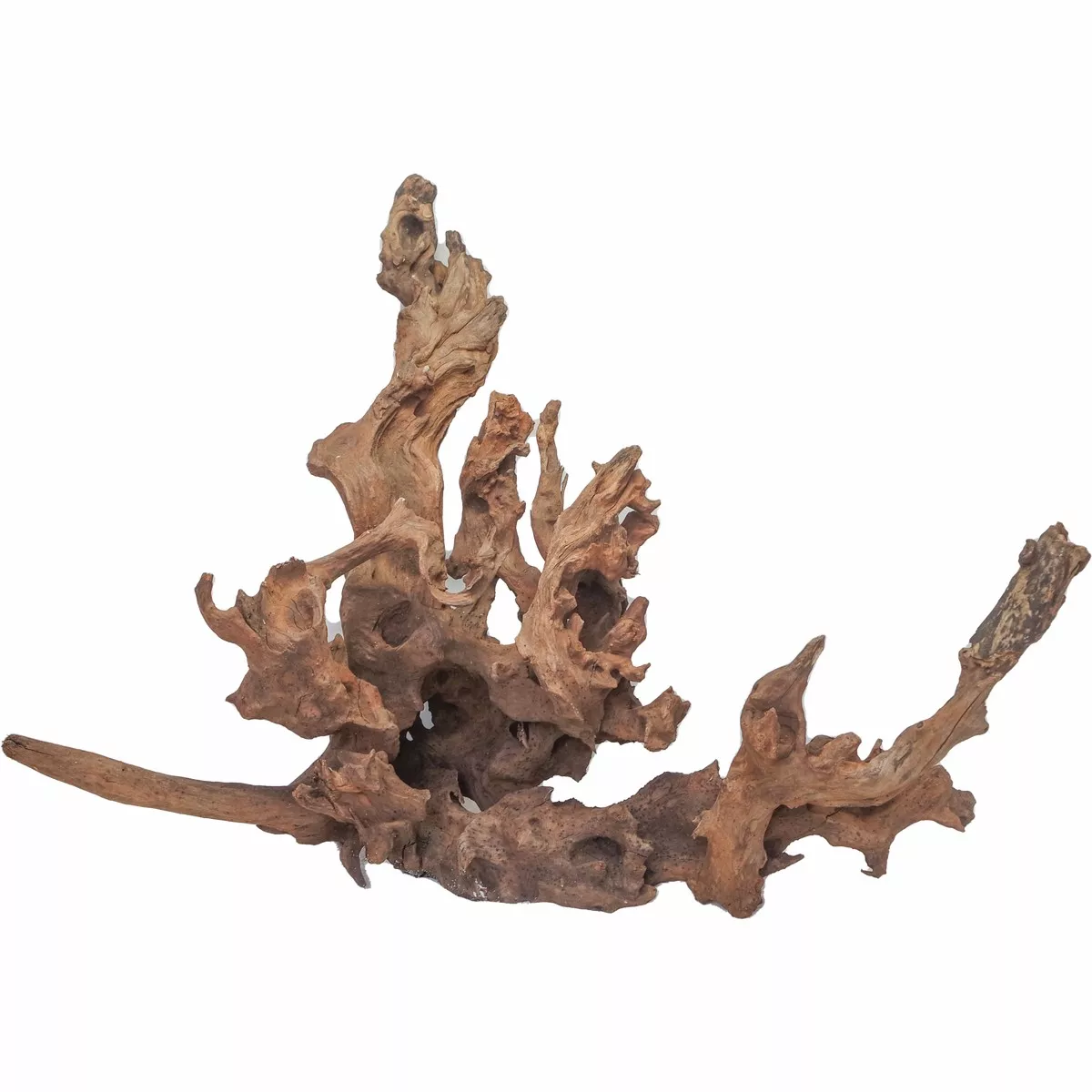 Drift Wood XLarge, 50-80 cm / pc