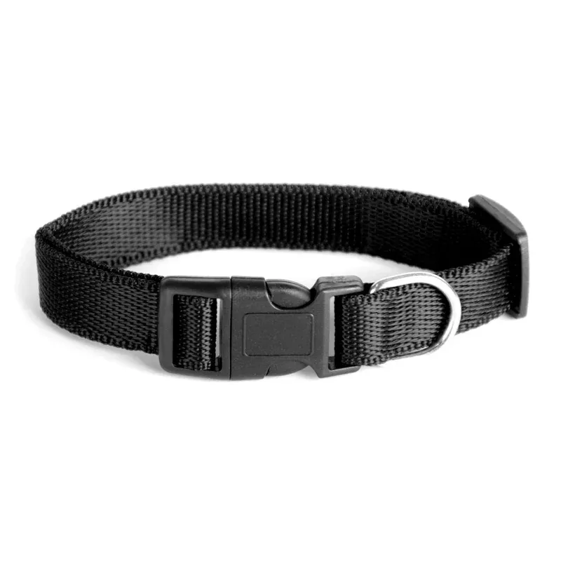 Duke's Adjustable Nylon Dog Collar Assorted