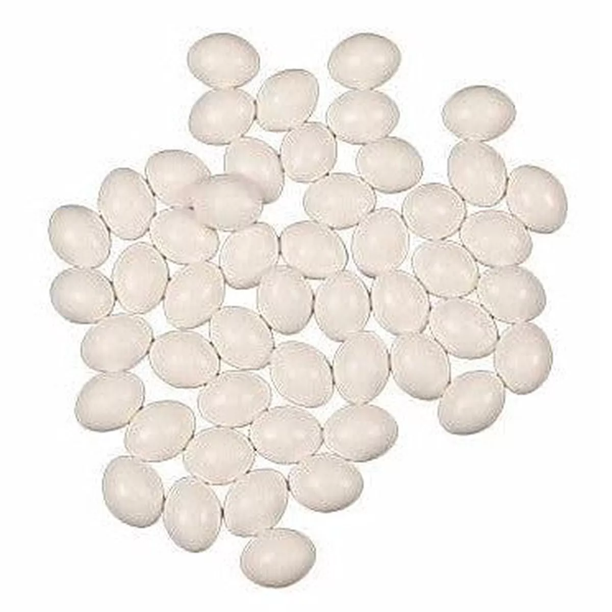 DUMMY EGG PARAKEET LARGE PER PIECE