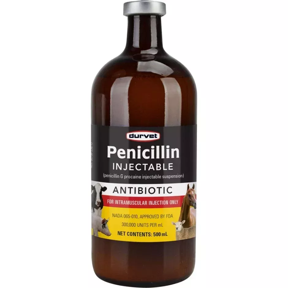 DURVET PENICILLIN G PROCAINE INJECTABLE