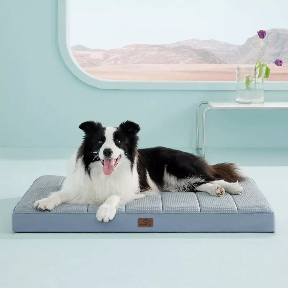 Egg Crate Foam Dog Bed