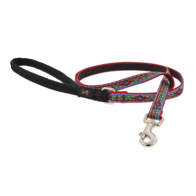 El Paso Leash
