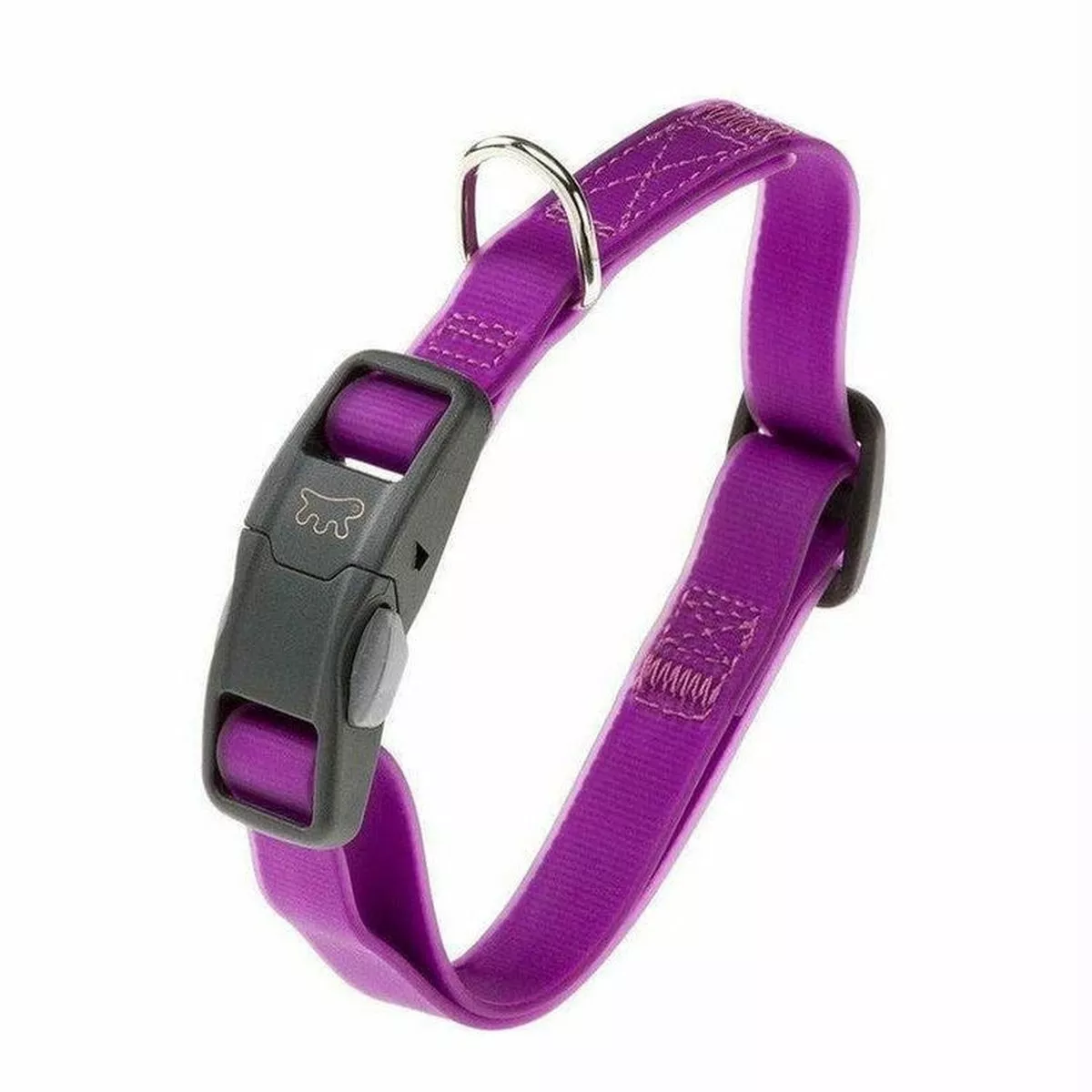 Evolution C16/32 Violet Dog Collar