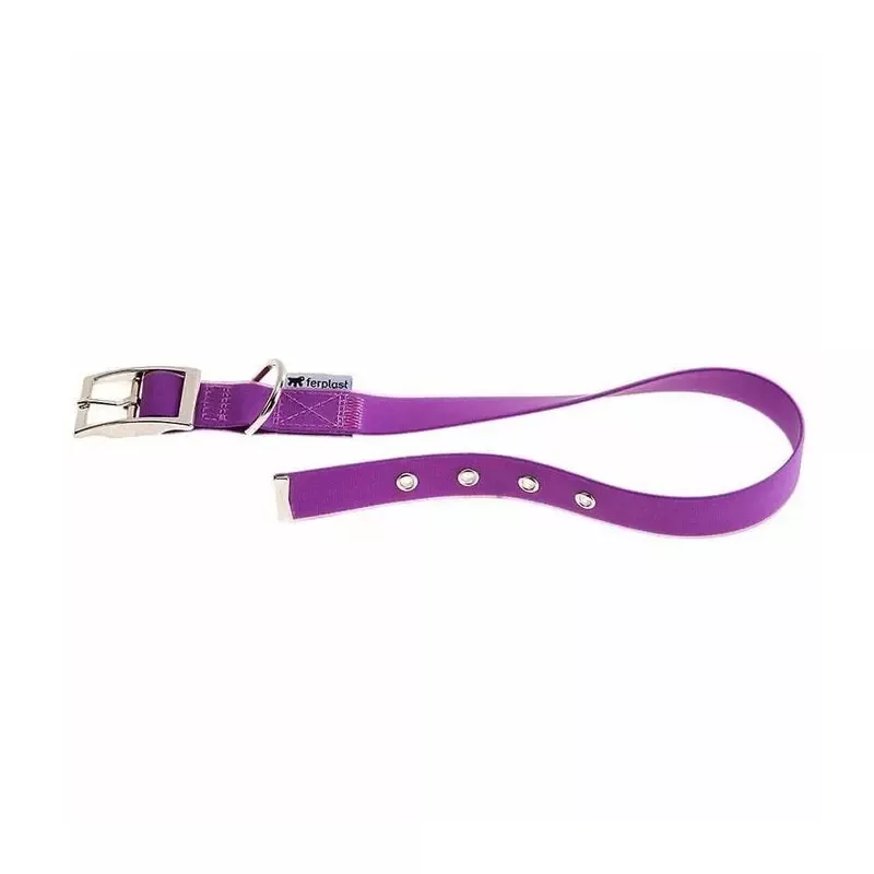 Evolution CF16/37Violet Dog Collar