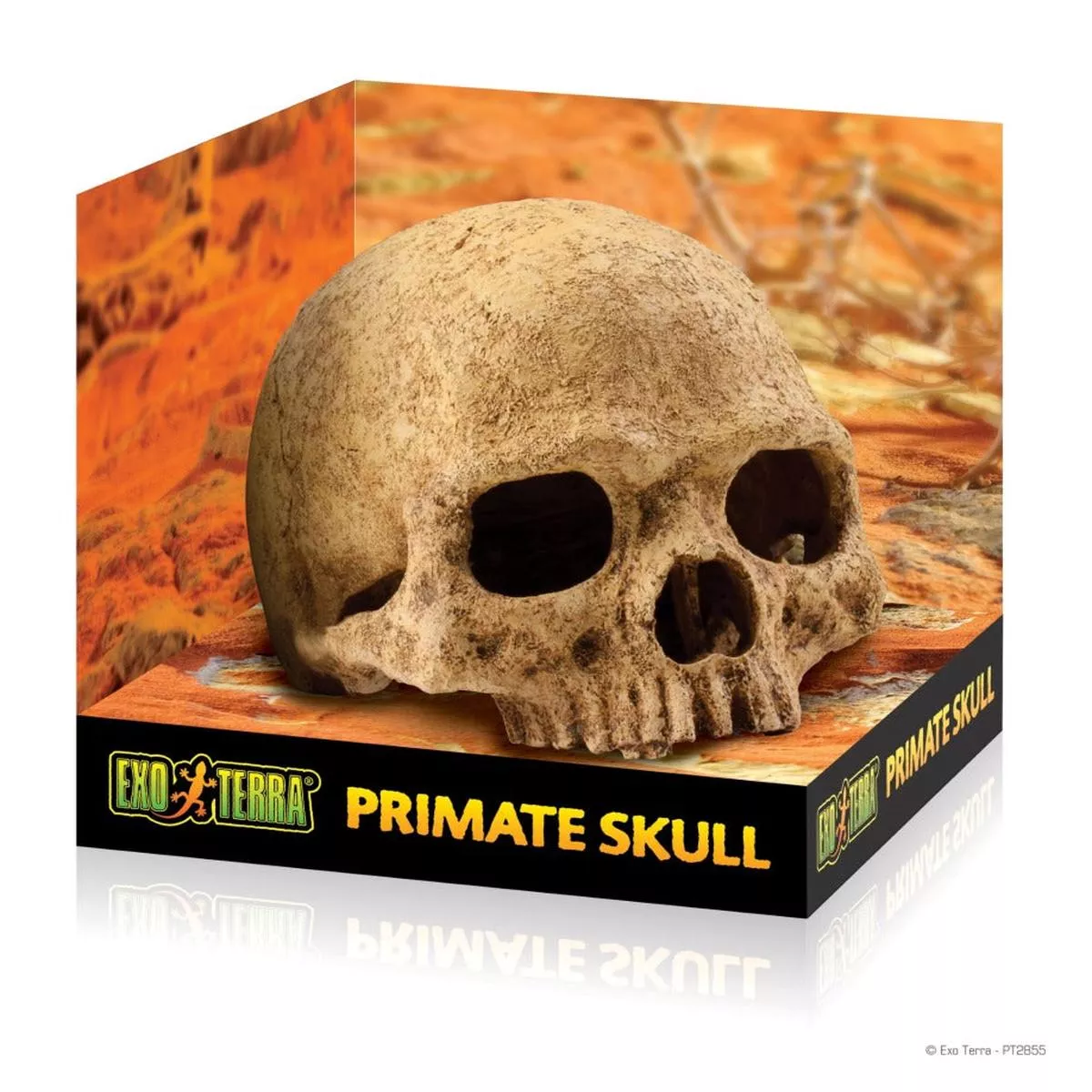 Exo Terra Primate Skull Terrarium Dcor