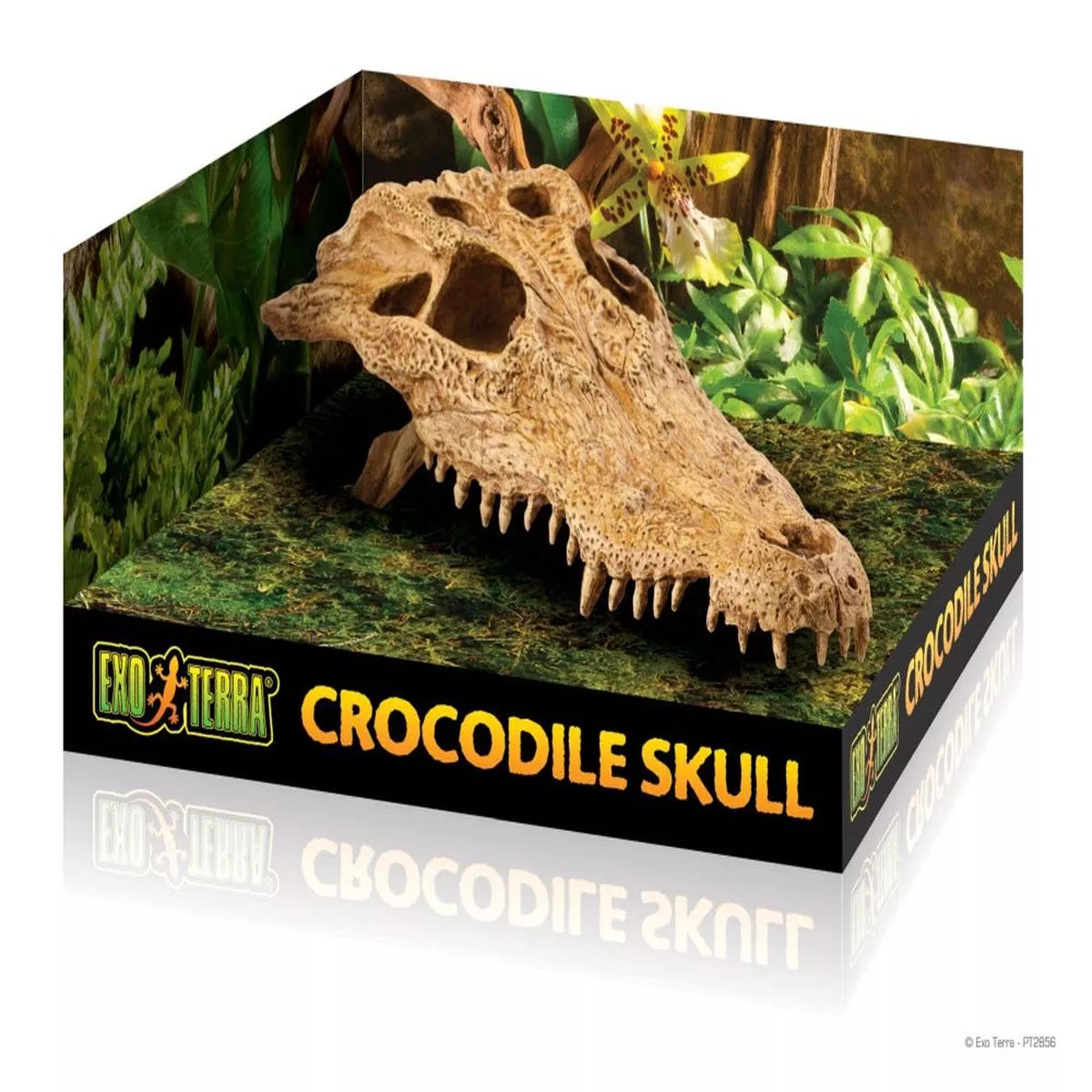 Exo Terra Terrarium Dcor, Crocodile Skull