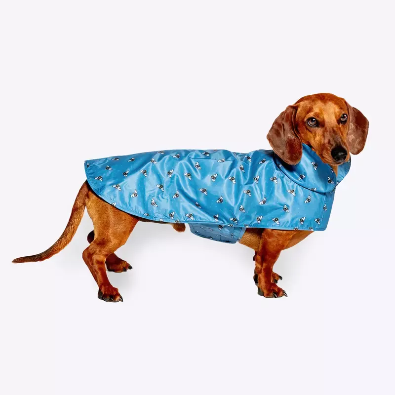 FatFace Spotty Bees Raincoat 50cm