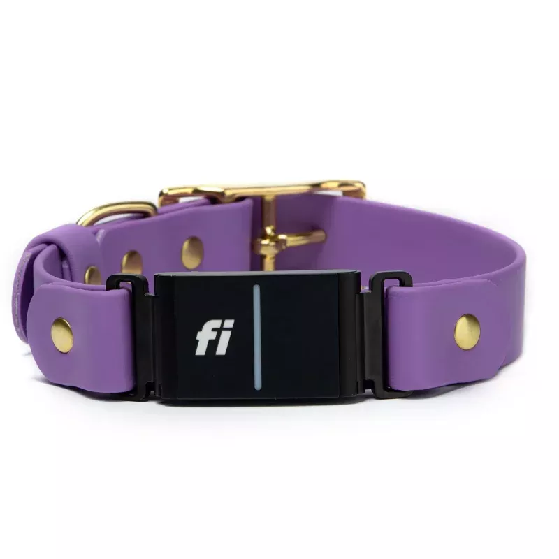Fi Series 3/3+ Compatible - BioThane Waterproof Buckle Collar
