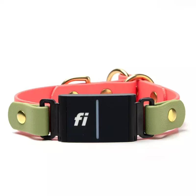 Fi Series 3/3+ Compatible - BioThane Waterproof Slip Collar
