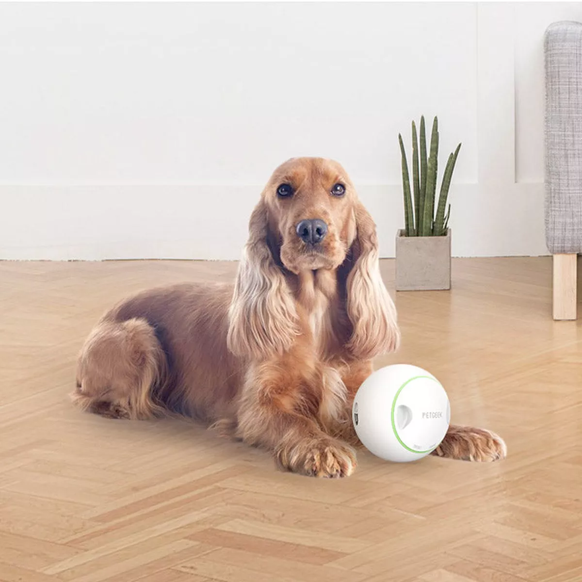 Foodie Orb Automatic Rolling Treat Ball