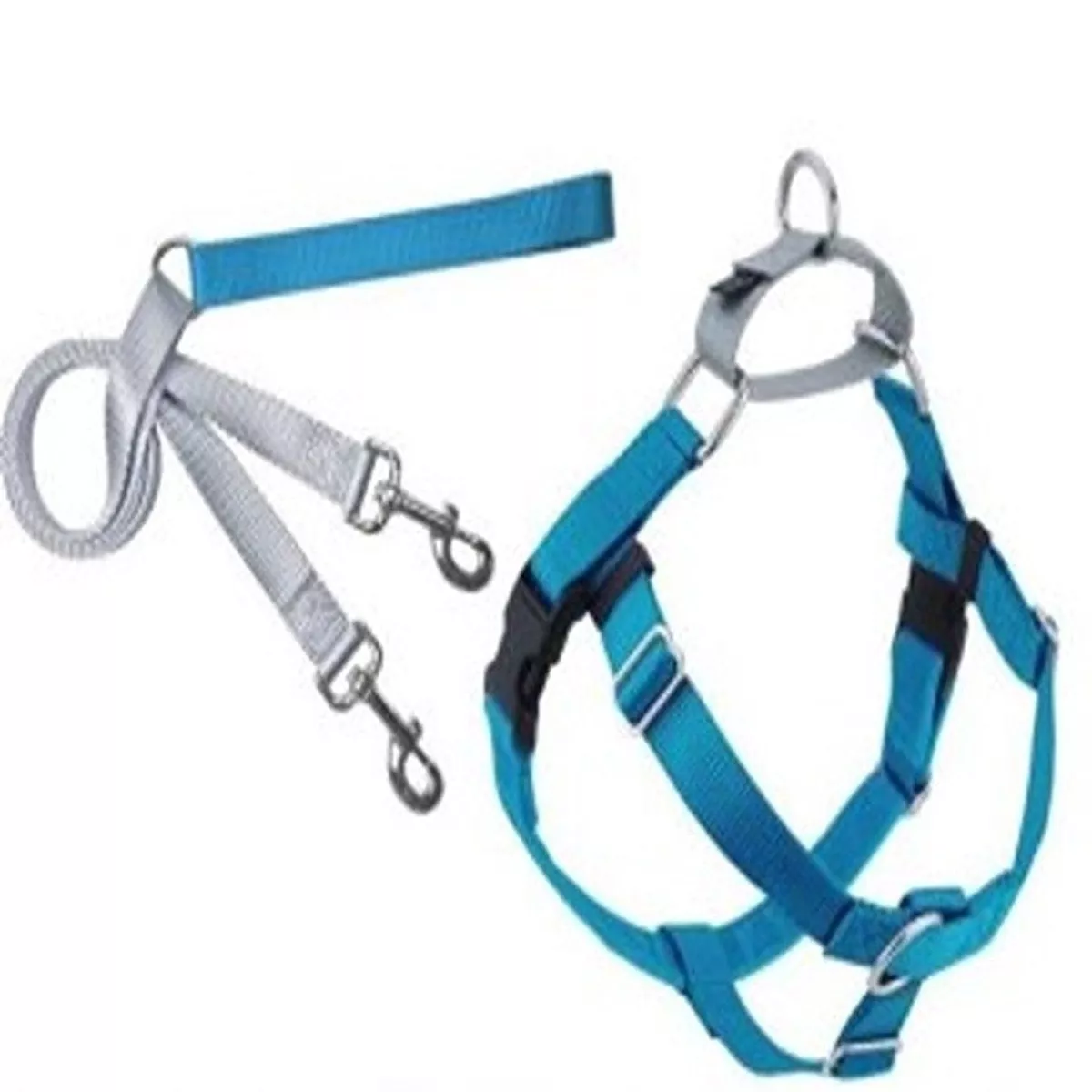 Freedom No-Pull Harness and Leash Turquoise / Medium 1"