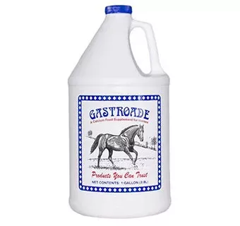 GASTROADE – 1 GAL