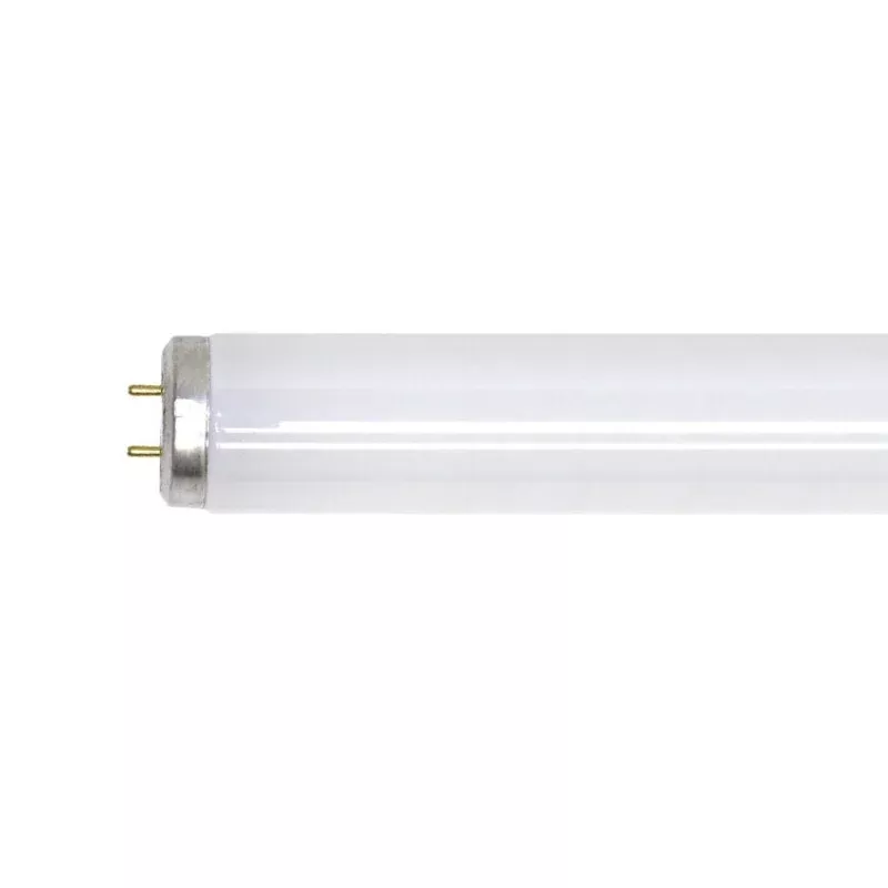 GE Lighting 2′ T12 Lamp 20 Watts