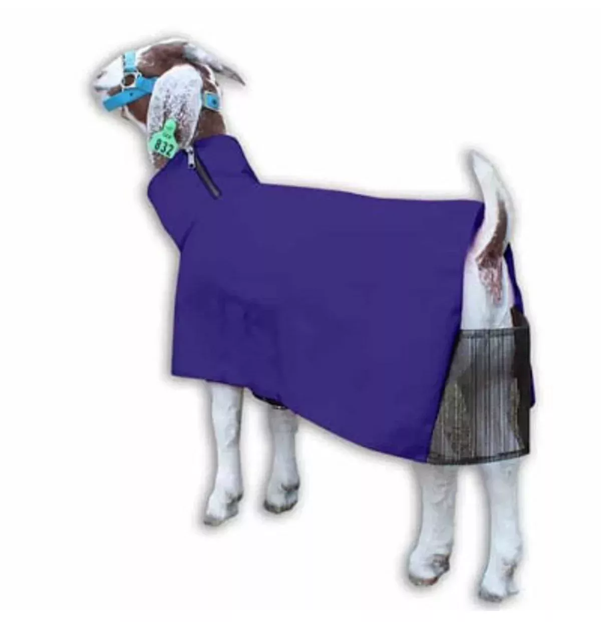 GOAT BLANKET, NYLON, LARGE, PURPLE