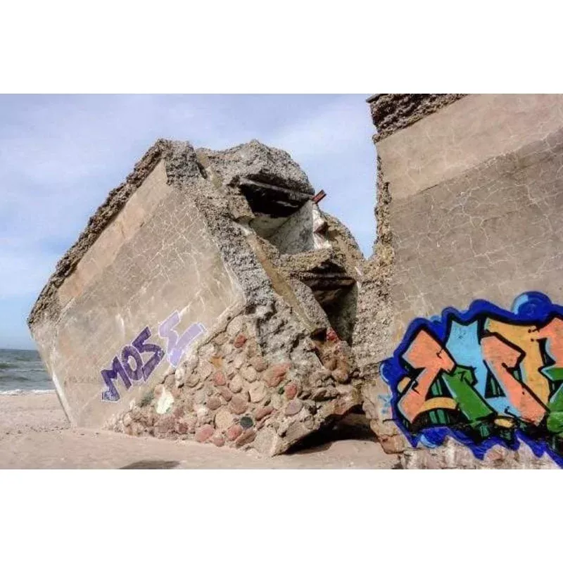 Graffiti – Transform Your Backyard into a Wildlife Oasis for All Creatures