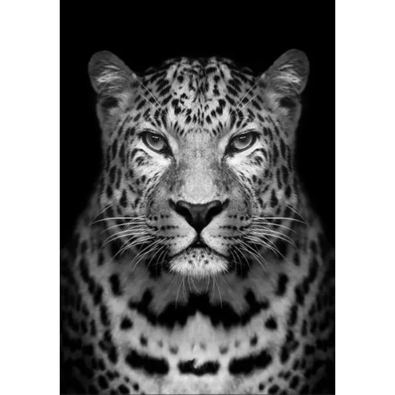 Gray leopard – Transform Your Backyard into a Wildlife Oasis for All Creatures