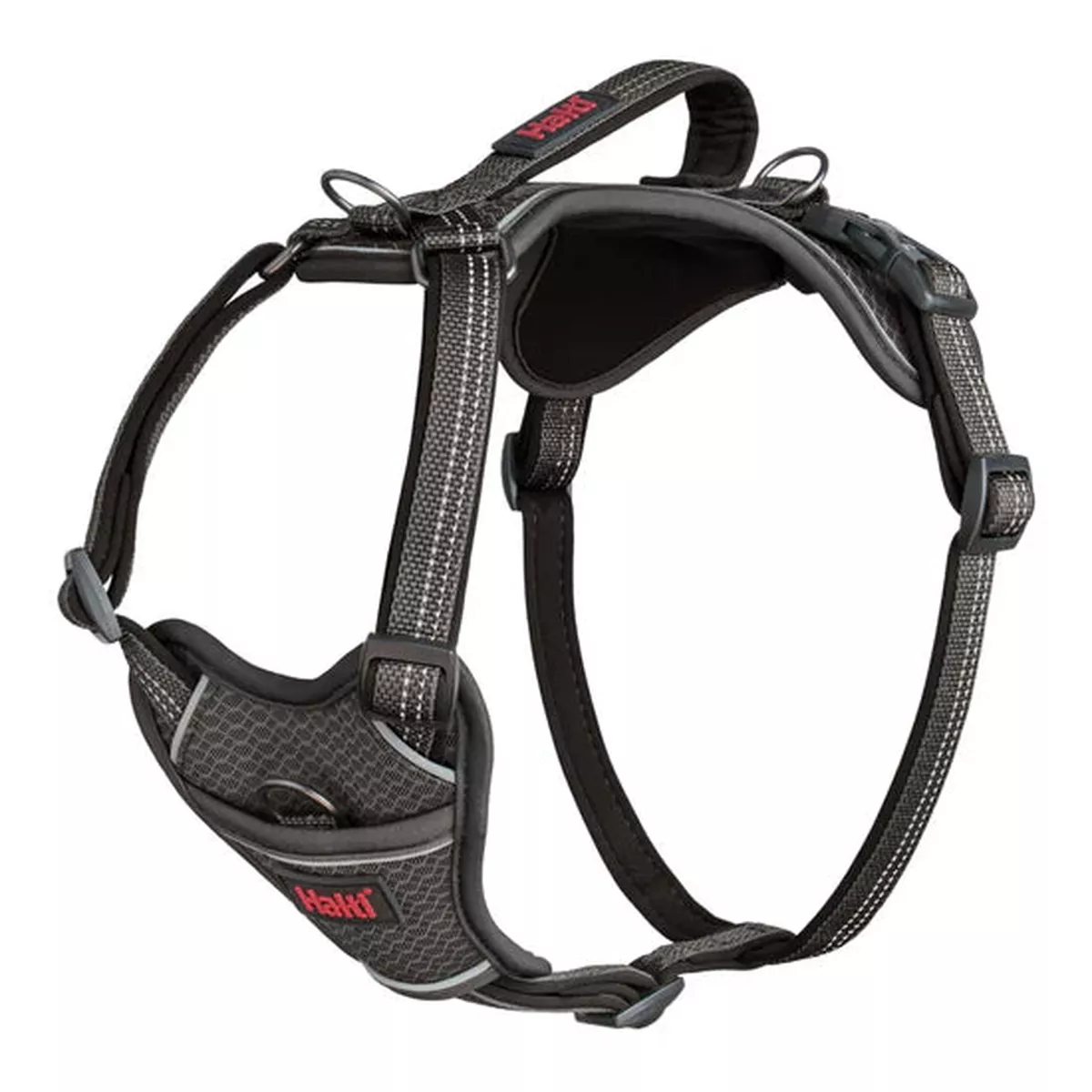 HALTI ANATOMY HARNESS – TEAL | Medium