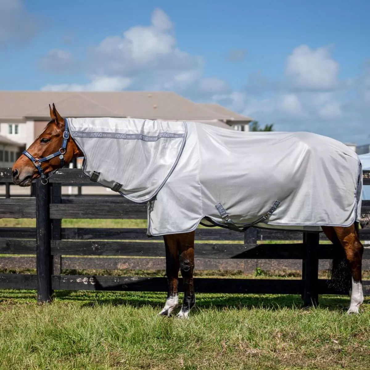 Horseware Amigo Bug Rug Plus Fly Sheet – Silver/Titanium Grey & Silver | 78″