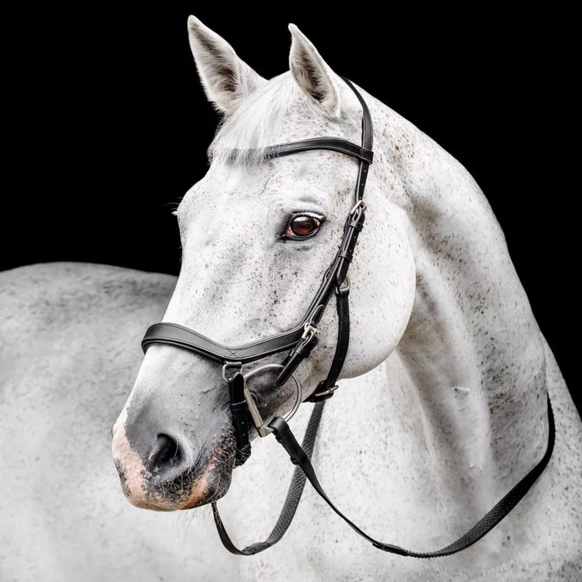 Horseware Micklem Competition Bridle – Black | Extra Full”