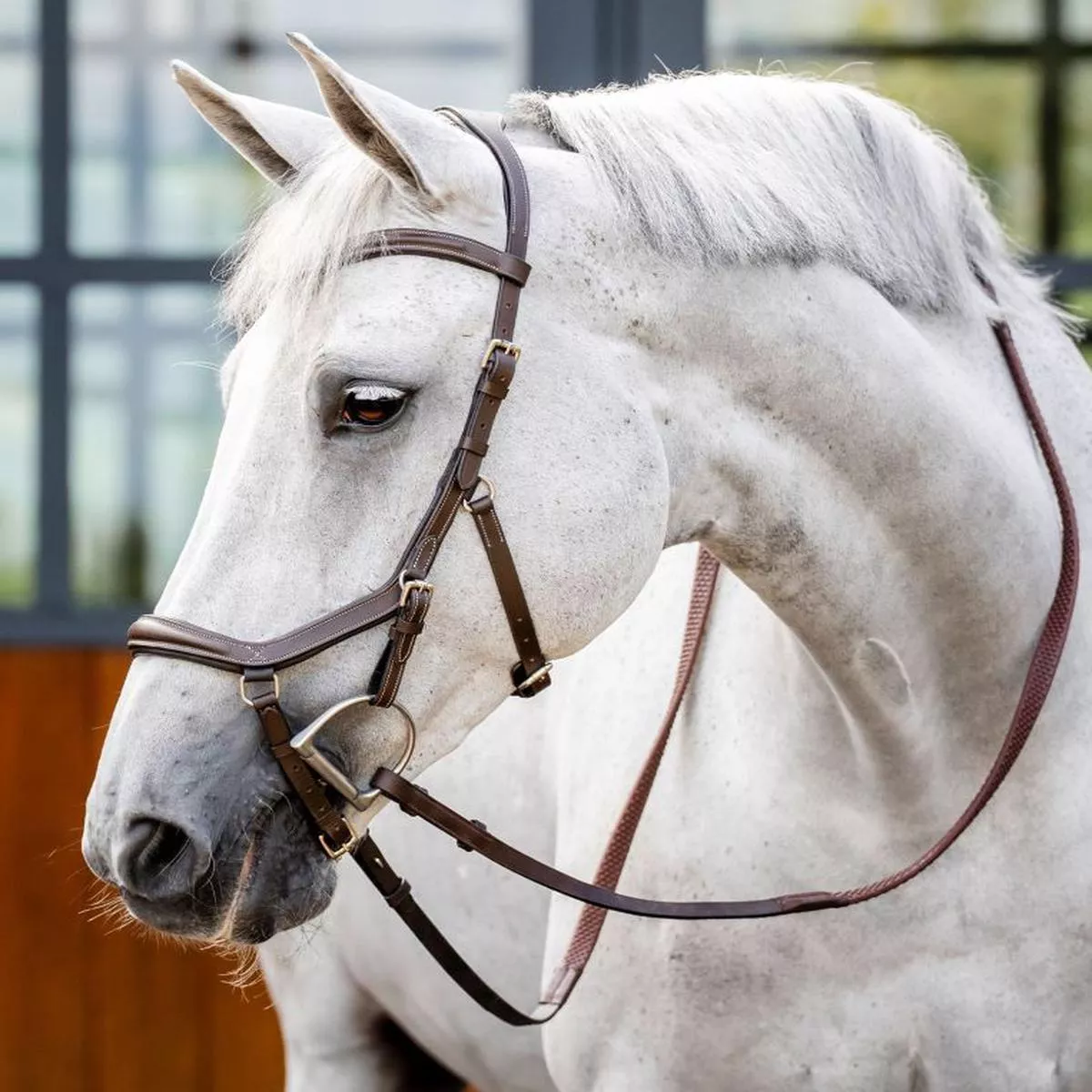 Horseware Micklem Deluxe Competition – Dark Havana | Extra Full”