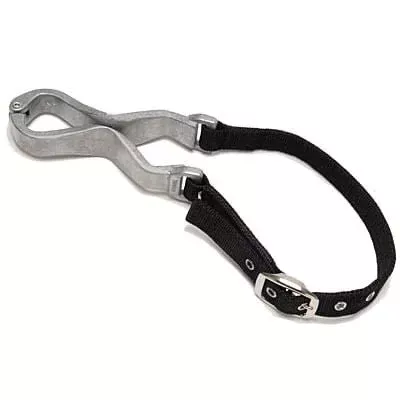 Jeffers Horse Cribbing Strap