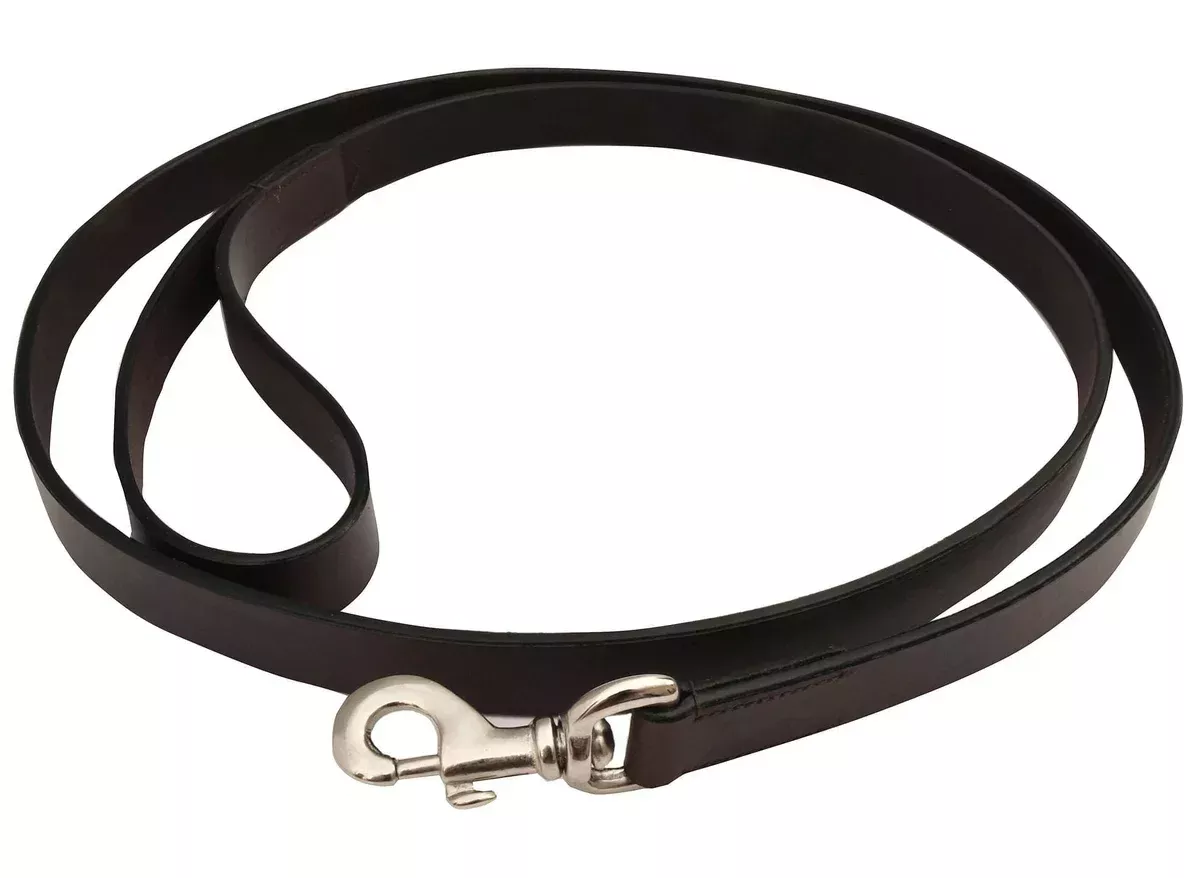 Jeffers Premium Brown Flat Leather Leash, 6′
