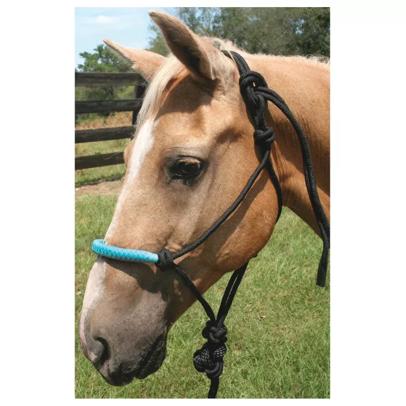Jeffers Solid Nose Braided Poly Rope Horse Halter & Lead Set Tan