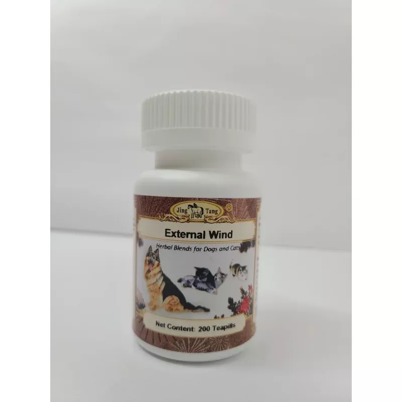 Jing Tang Herbals: External Wind 200 teapills (1 bottle)