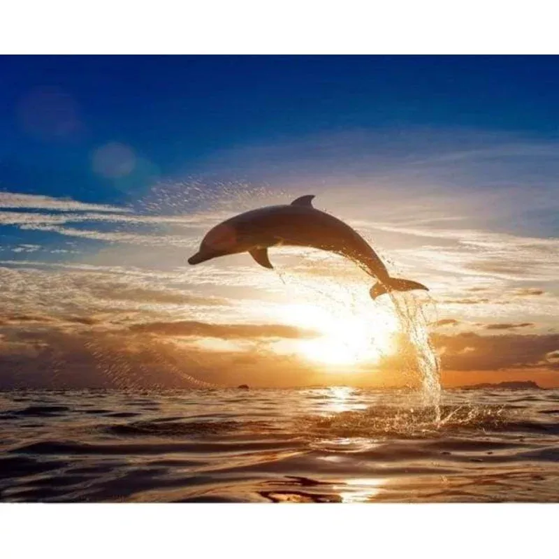 Jumping Dolphin – Transform Your Backyard into a Wildlife Oasis for All Creatures