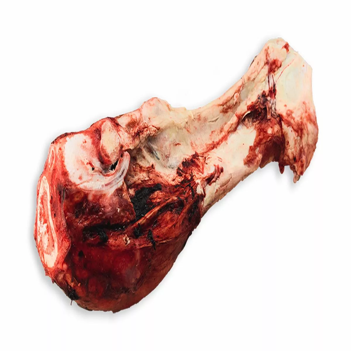 K9 Choice Foods Beef Dino Bones