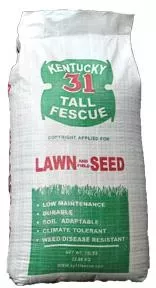Kentucky 31, Fescue, Grass Seed, 50 lbs.