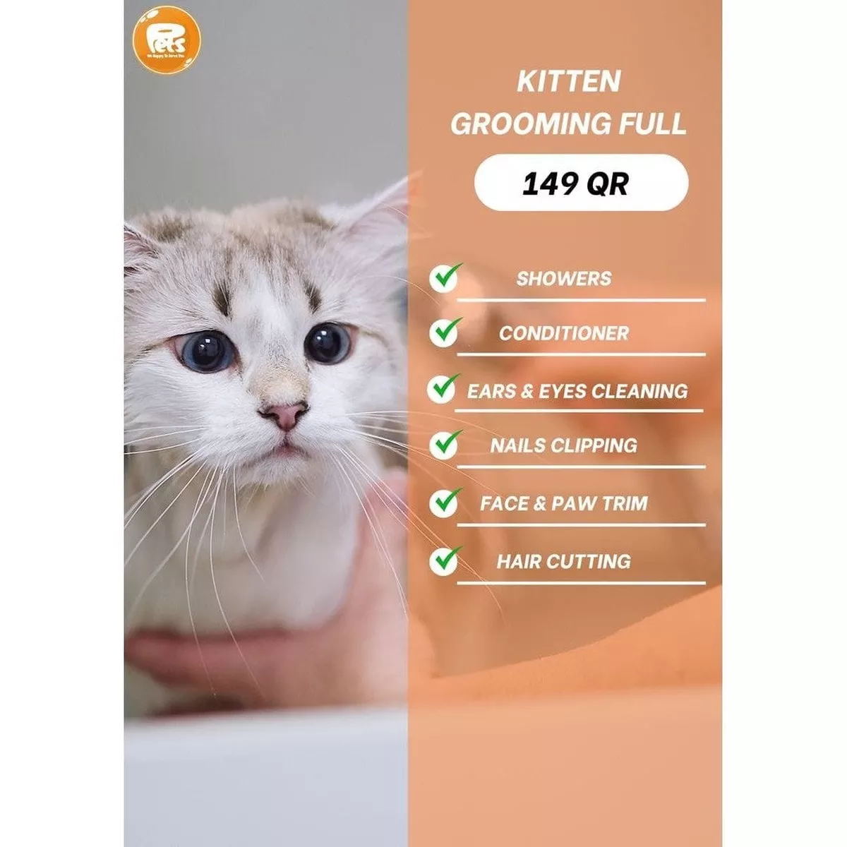 kitten Grooming Full