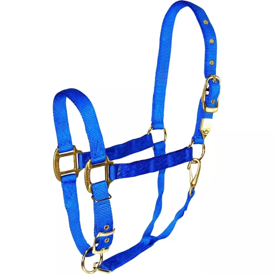 Large Horse Halter Chin Snap Blue