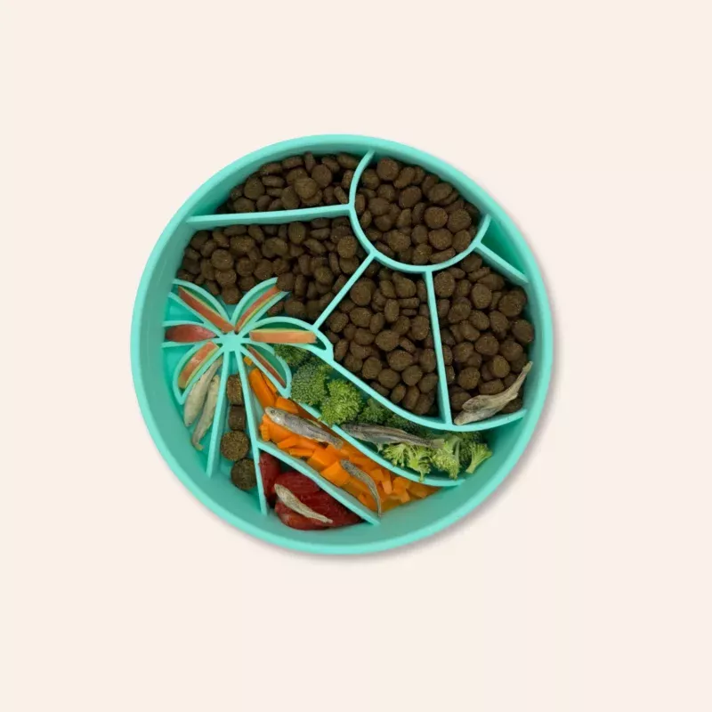 Loco Coco Interactive Slow Feeder Bowl Seafoam
