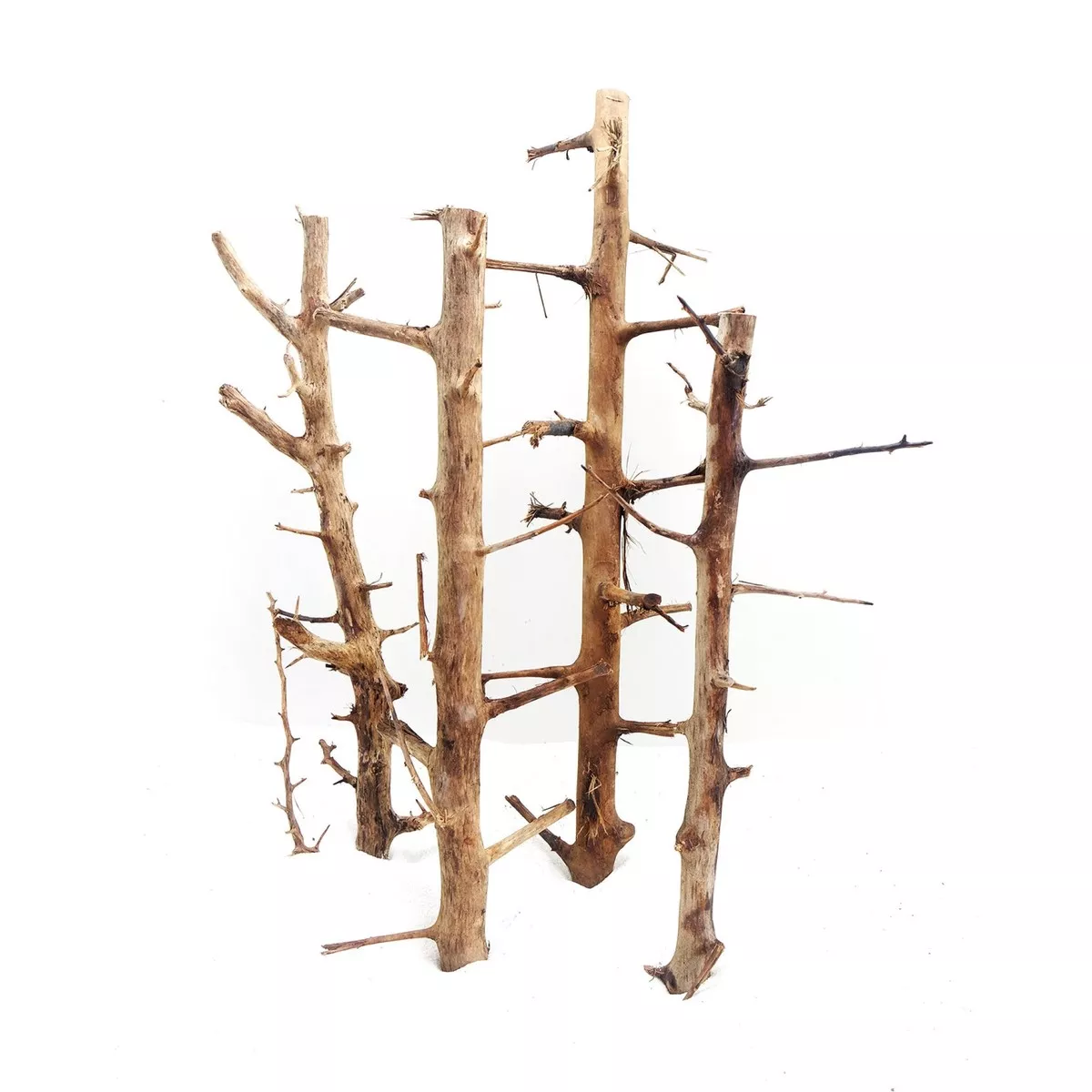 Long Hands Wood Medium, 30-45 cm / box