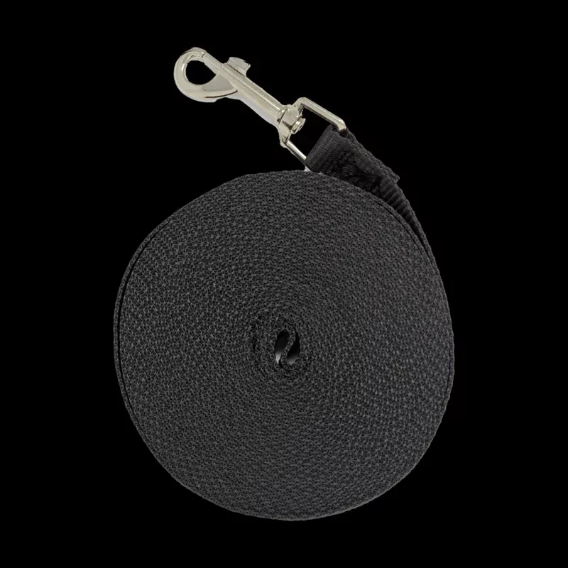 Long Lead Training Leash