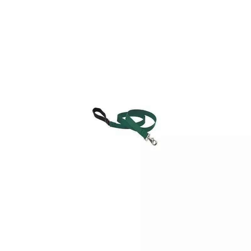 Lupine 1in Green 6ft Leash