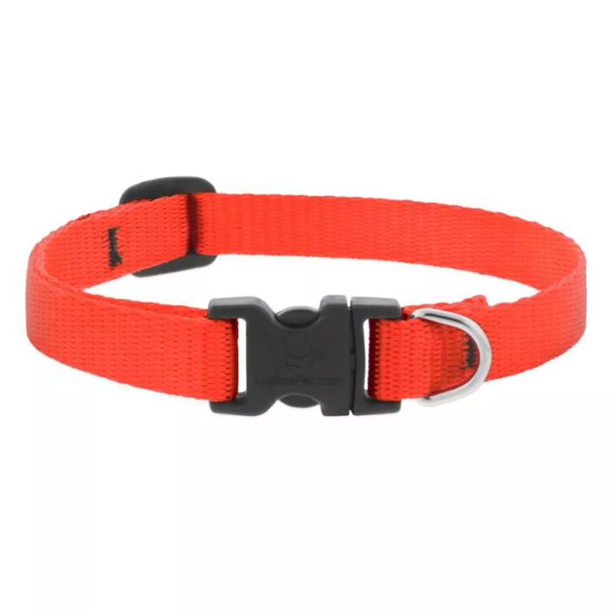 Lupine Pet Basic Solids Adjustable Dog Collar, Blaze Orange