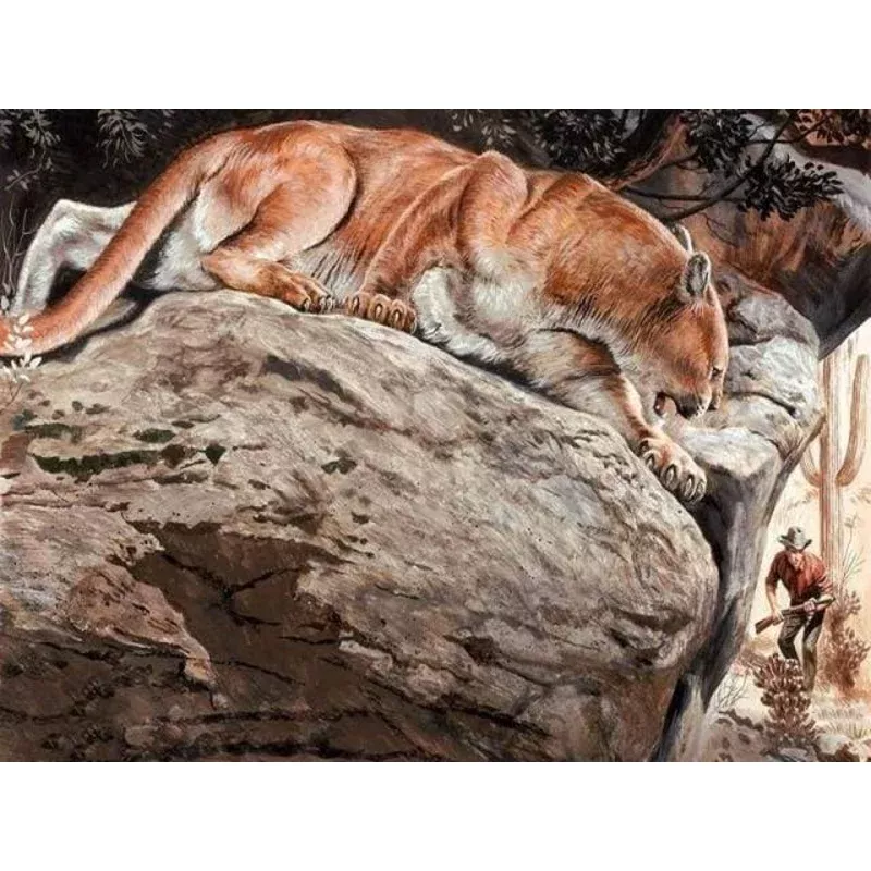 Lynx – Transform Your Backyard into a Wildlife Oasis for All Creatures