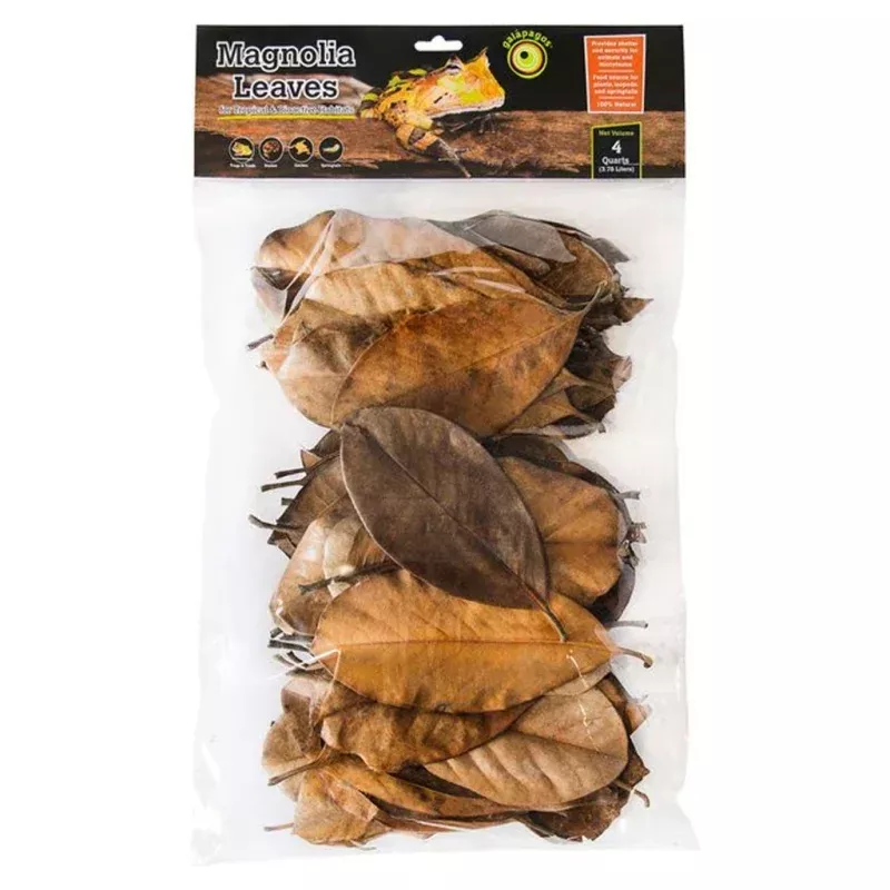 Magnolia Leaf Litter for Reptiles 4qts